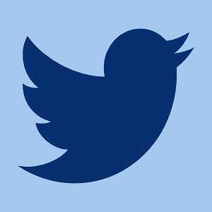 Ansicht des Twitter-Icons in Form eines kleinen, zwitschernden Vogels