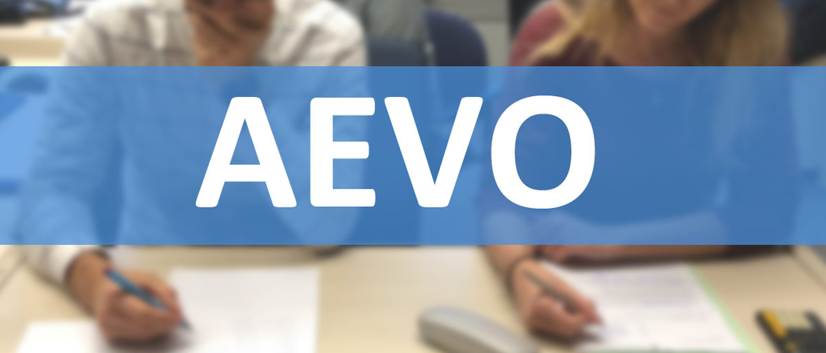 Ausbildereignungsverordnung; AEVO; Ausbilderprüfung