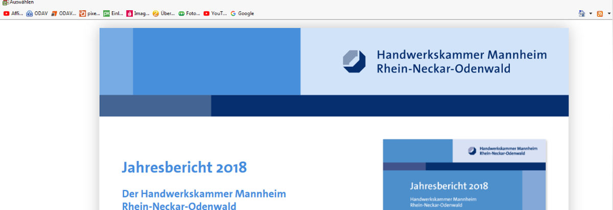 Jahresbericht