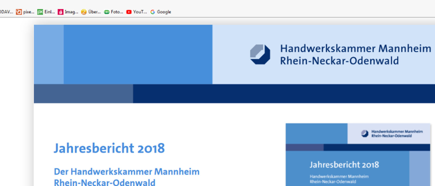 Jahresbericht