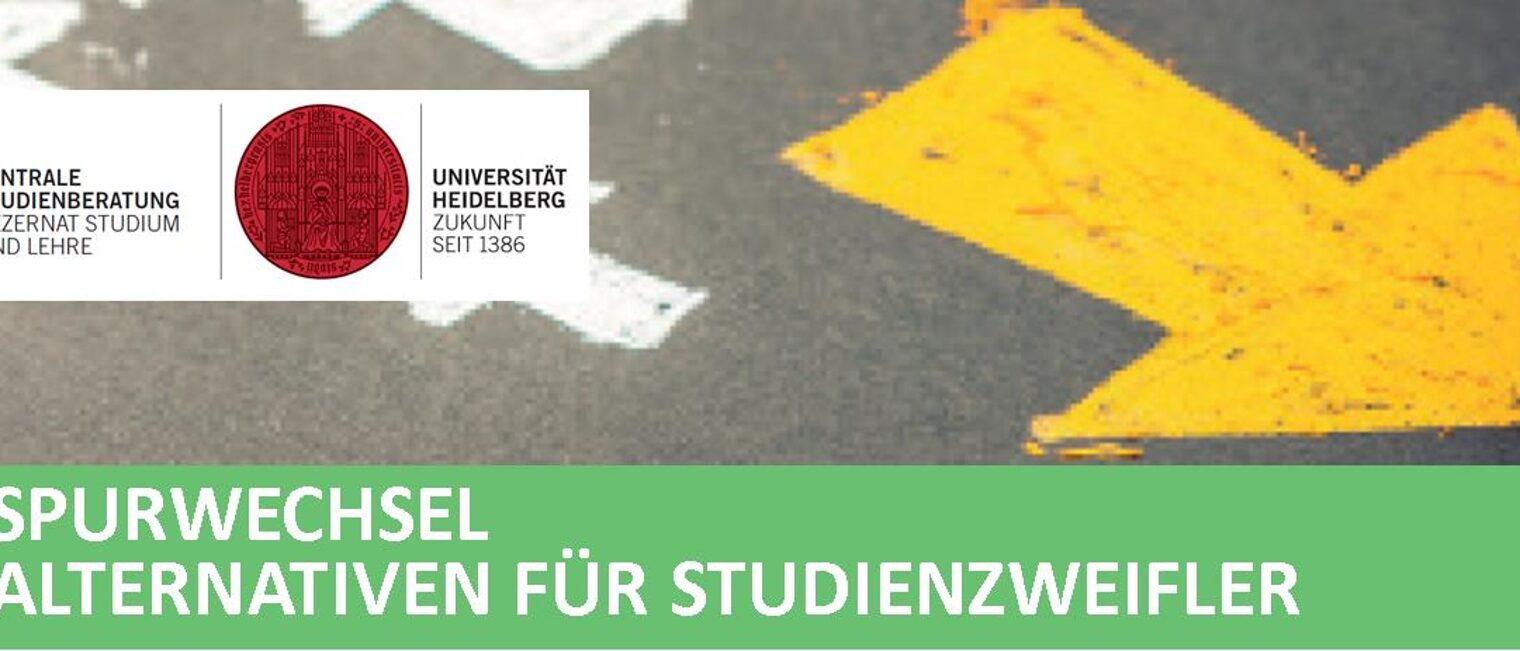 Spurwechsel Heidelberg, Alternativen zum Studium Heidelberg
