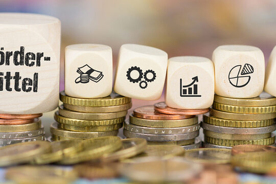 Fünf Reihen unterschiedliche gestapelte Euromünzen. Darauf liegen sieben unterschiedlich große weiße Würfel. Einer trägt die Aufschrift "Fördermittel" die anderen sind mit diversen Symbolen bedruckt. 