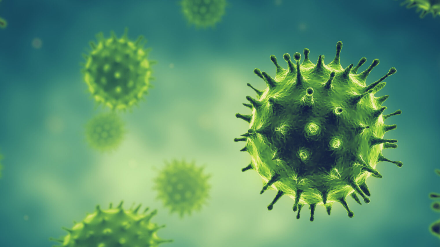 Coronavirus, 