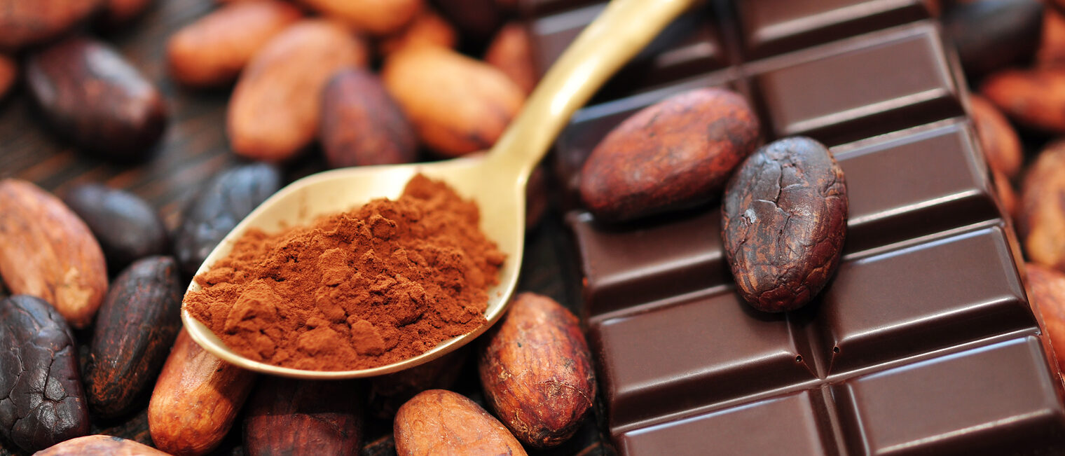 Schokoladenherstellung: Kaffebohnen, Schokolade, Löffel mit Pulver