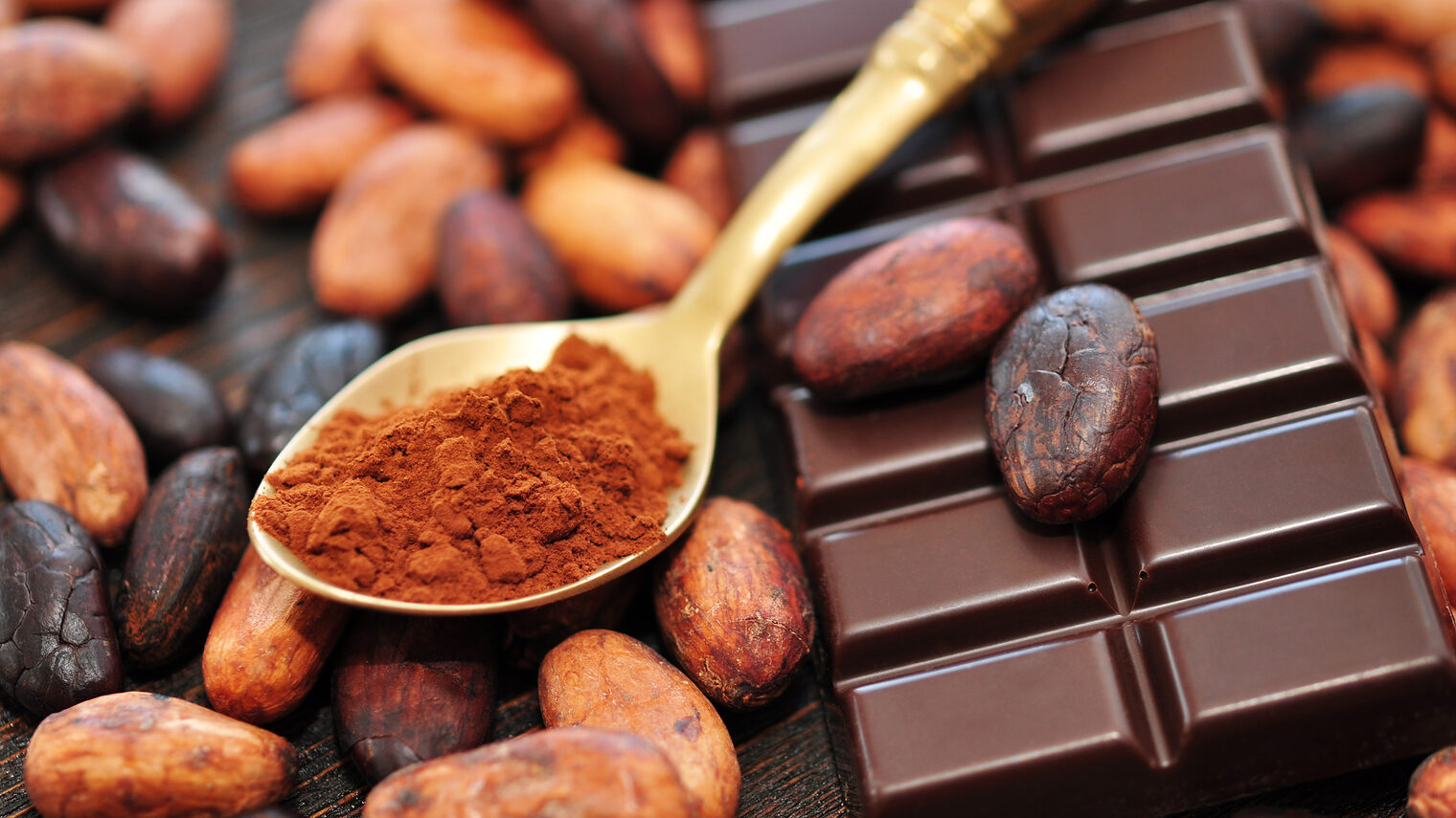 Schokoladenherstellung: Kaffebohnen, Schokolade, Löffel mit Pulver