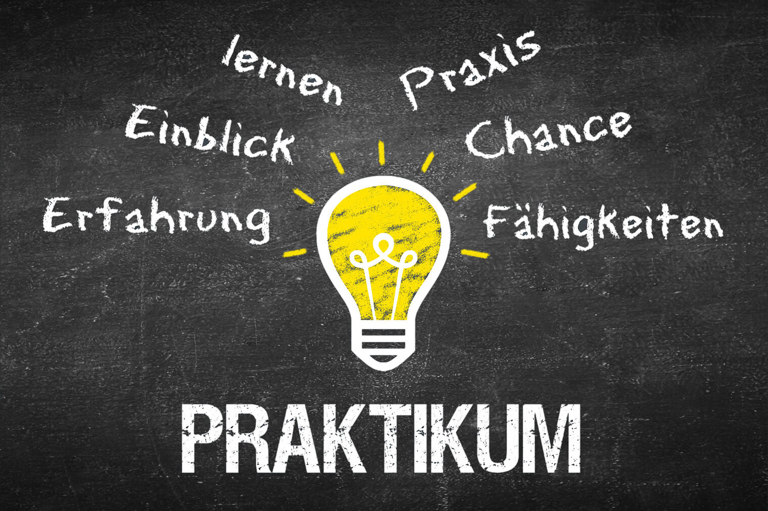 Eine Glühlampe in der Mitte des Bildes. Darunter steht das Wort "Praktikum". Über der Glühlampe sind in Strahlenform die Wörter "lernen, Einblick, Erfahrung, Praxis, Chance und Fähigkeiten" geschrieben.