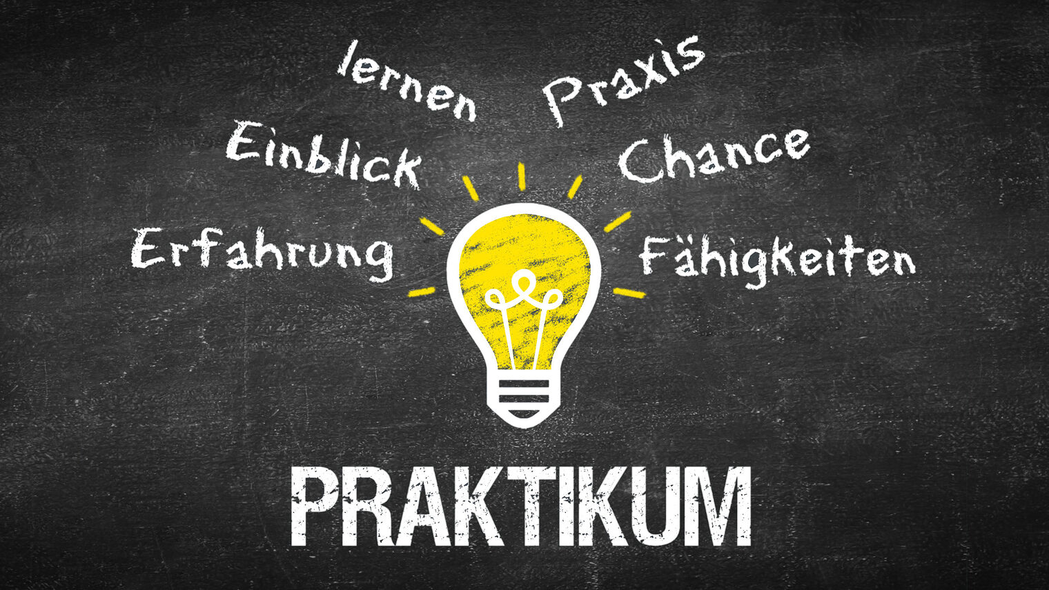 Eine Glühlampe in der Mitte des Bildes. Darunter steht das Wort "Praktikum". Über der Glühlampe sind in Strahlenform die Wörter "lernen, Einblick, Erfahrung, Praxis, Chance und Fähigkeiten" geschrieben.