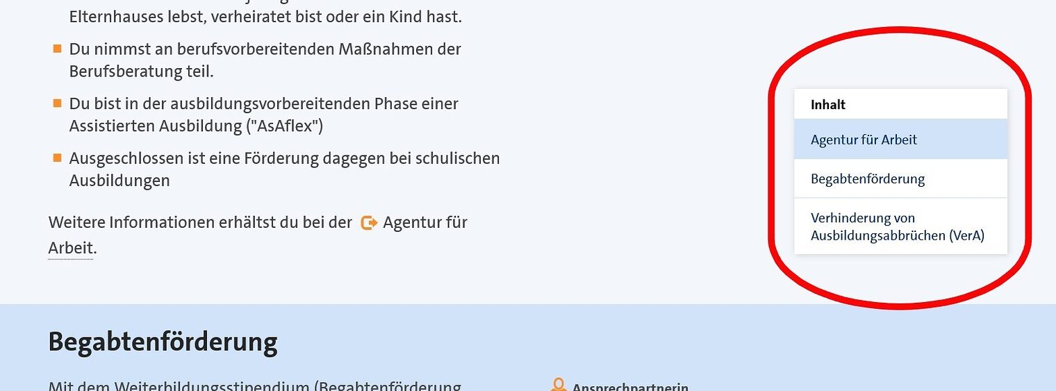 Inhaltsseite auf www.hwk-mannheim.de mit Texten und Flying Menü, über das Themen der Seite direkt angesteuert werden können