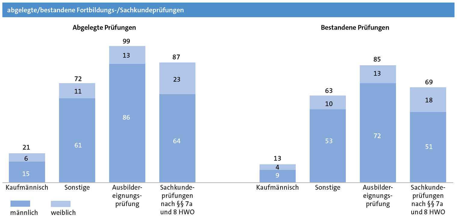 Balken-Grafik, dunkelblau männlich, hellblau weiblich