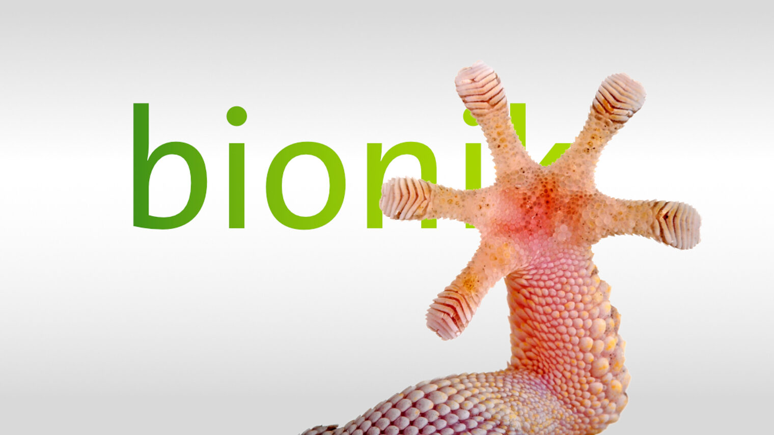 Ein Gekkofuß vor dem Text bionic