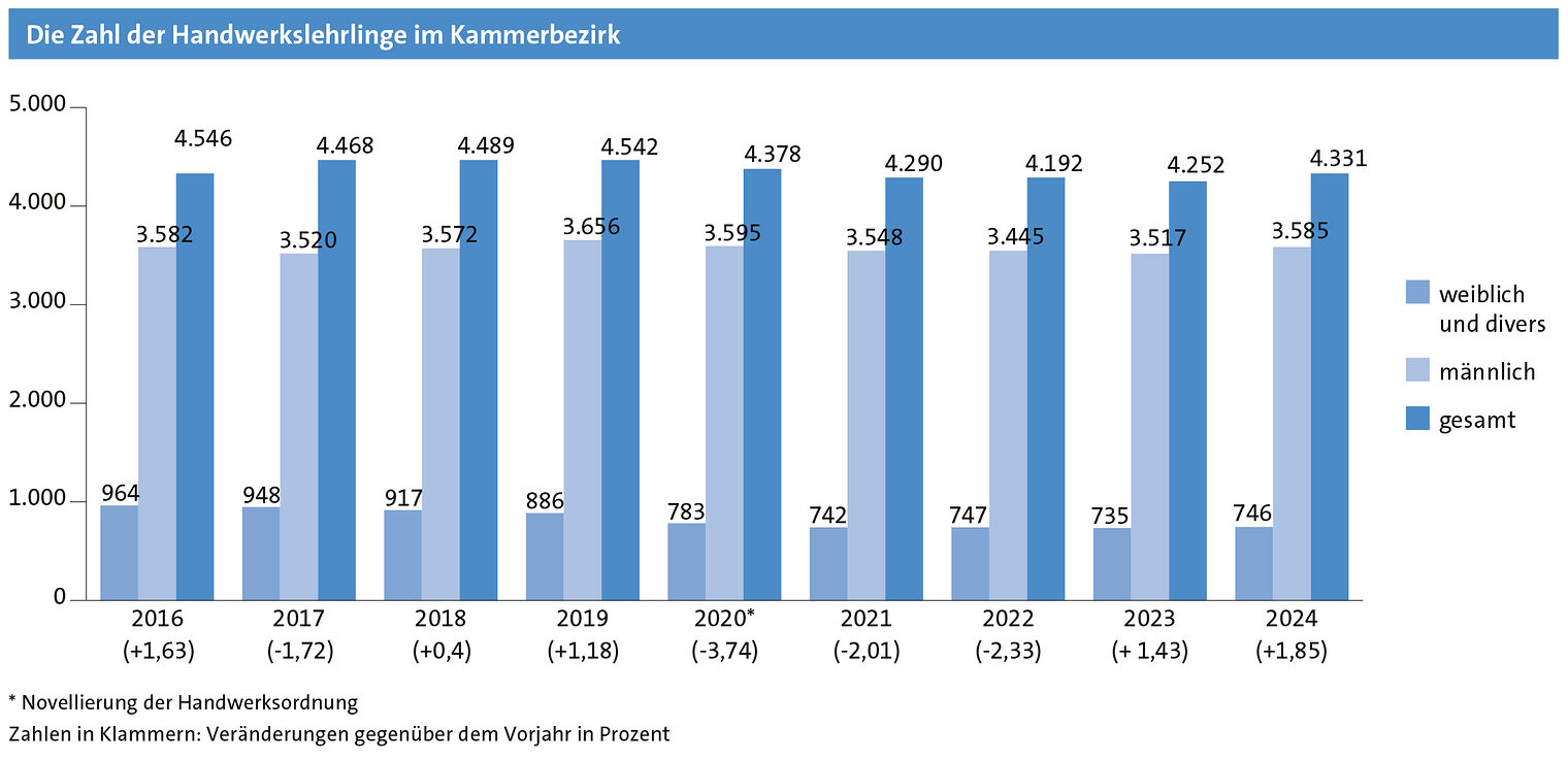 Diagramm der Handwerkslehrlinge: Dunkelblau Gesamtzahl, Mittelblau weibliche Lehrlinge, Hellblau männliche Lehrlinge