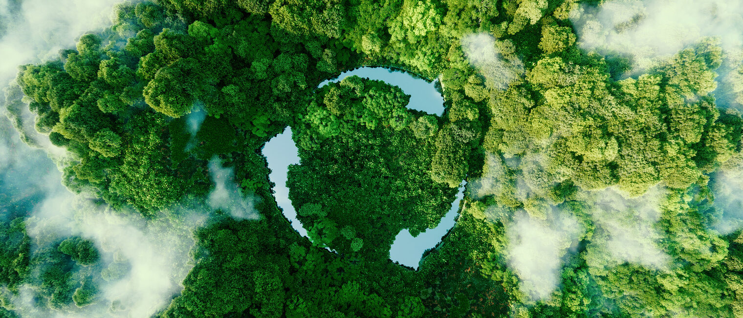 Blick von oben auf einen grünen Wald, links und rechts ziehen Wolken- oder Nebelfelder ins Bild, im Zentrum deuten drei gebogene Pfeile einen Kreislauf an.